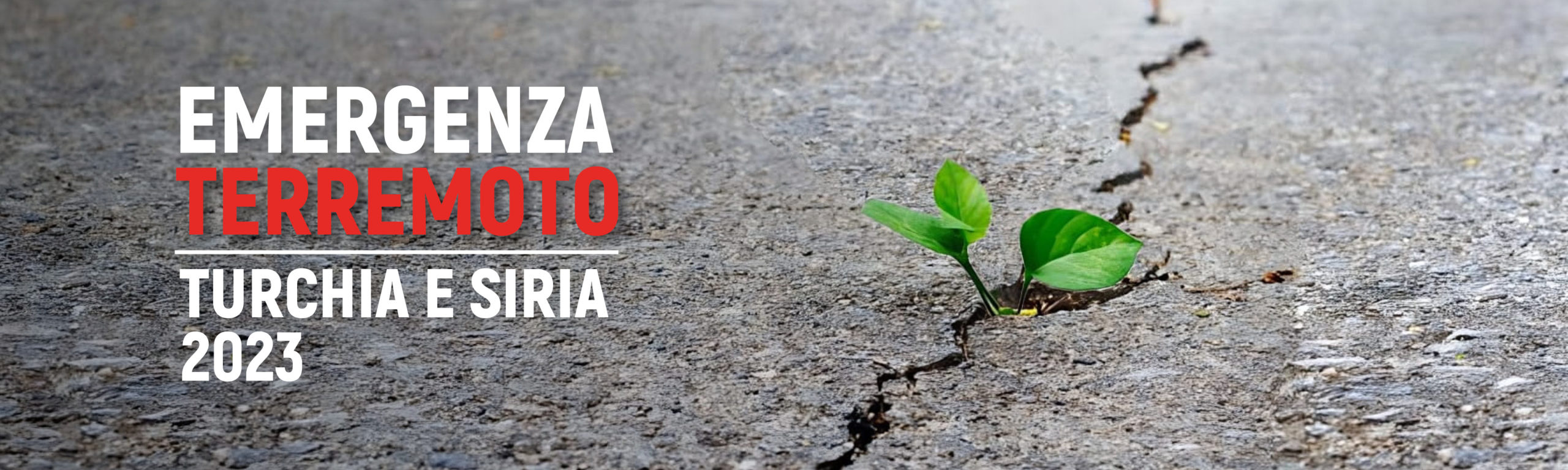Emergenza Terremoto Turchia e Siria 2023