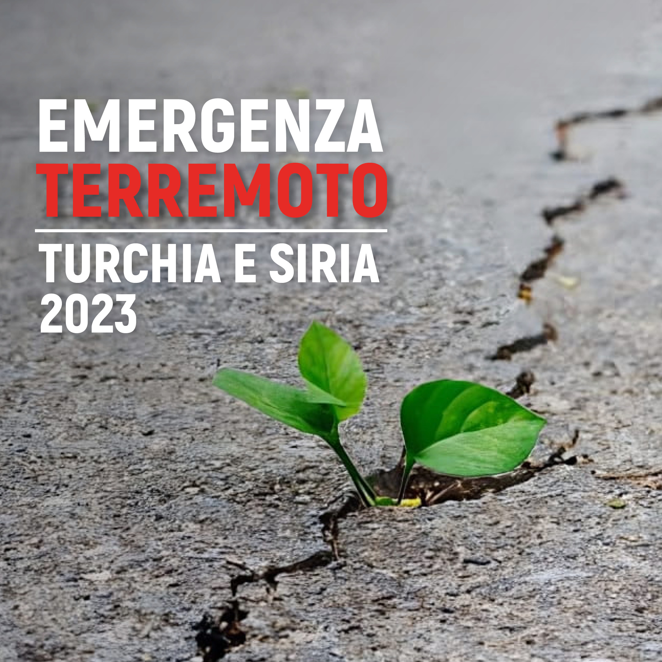 Emergenza Terremoto Turchia e Siria 2023